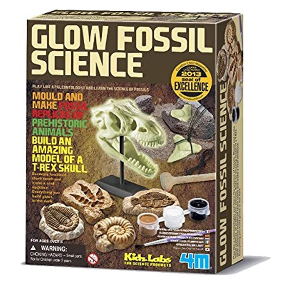 glow-fossil-sceince-00-03356